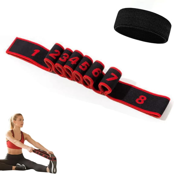 Numbered Resistance Bands Set – 8 Section Fitness Stretching & Exercise Bands with Markings for Strength Training, Home Workout & Physical Conditioning