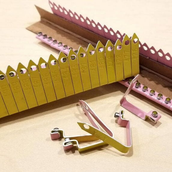 Numbered Yellow Zip Wing Bands 200Pcs