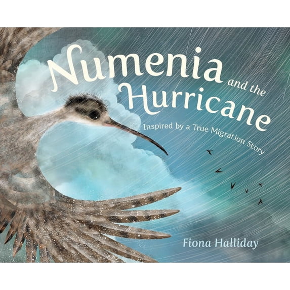 Numenia and the Hurricane: Inspired by a True Migration Story, (Hardcover)