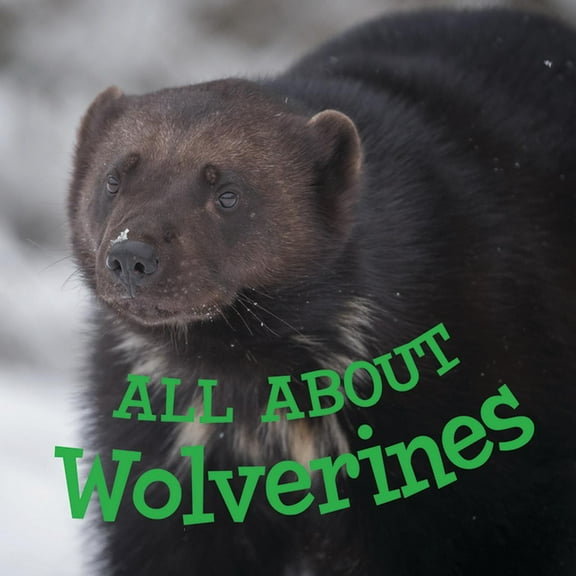 Nunavummi Reading All about Wolverines: English Edition, (Paperback)