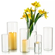 Nuptio Glass Cylinder Hurricane Candle Holders 6", 7.8"&10" Set of 6 Glass Vases for Home Decor Garden Decor Vintage Mother's Gift