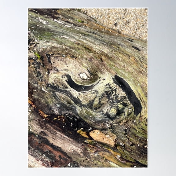 Nurse Log | Driftwood Nurse Logs | Mossy Swirls Poster Wall Art, Modern Wall Decor, 12x18 UNFRAMED