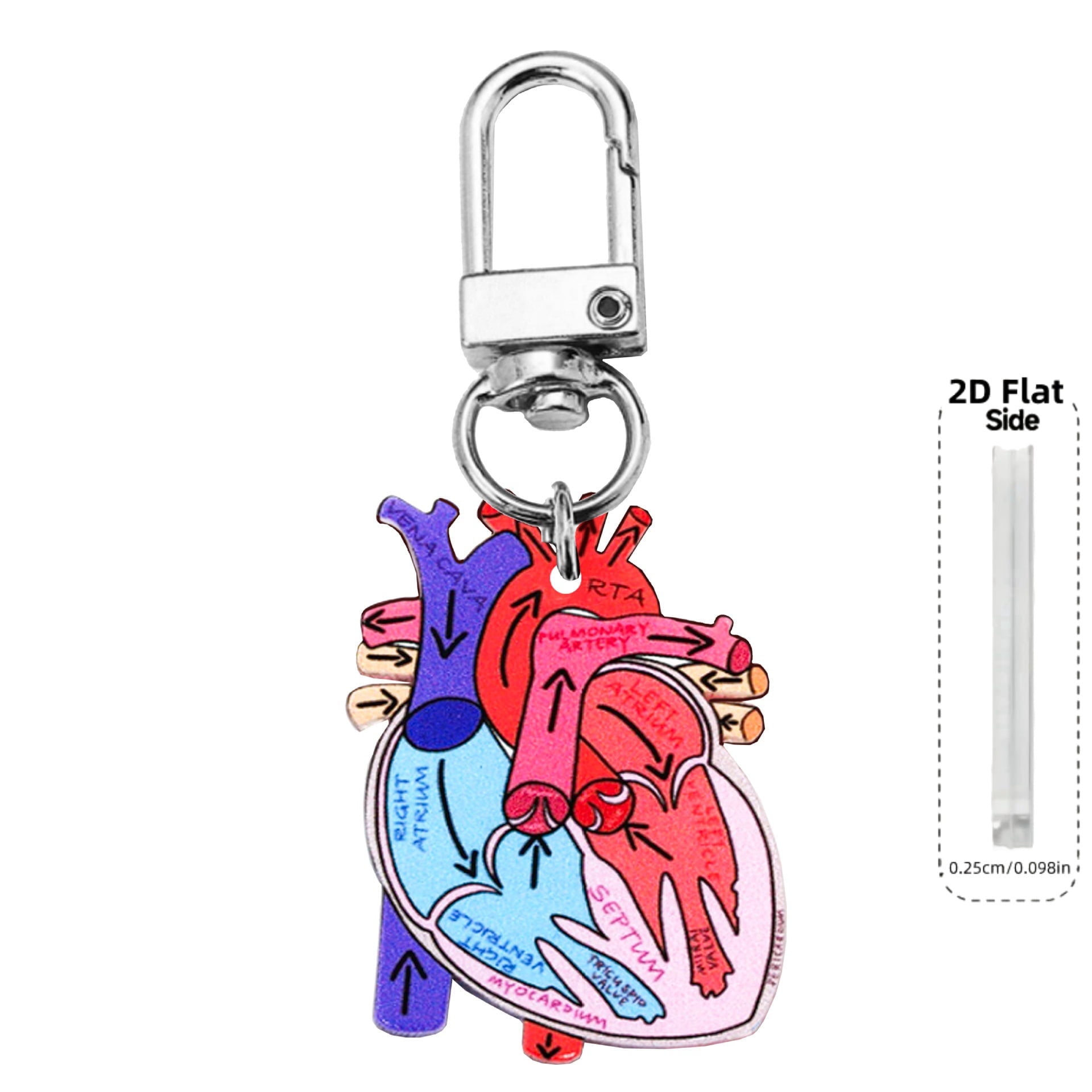 Nurse Theme Letter Anatomical Heart Diagram Keychain Doctors Prefer Key Ring