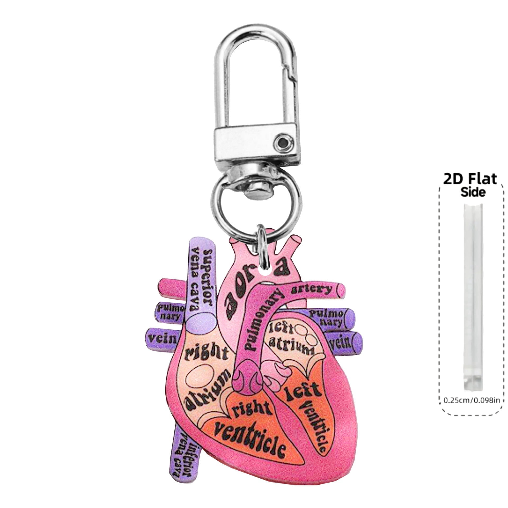 Nurse Theme Letter Anatomical Heart Diagram Keychain Doctors Prefer Key Ring