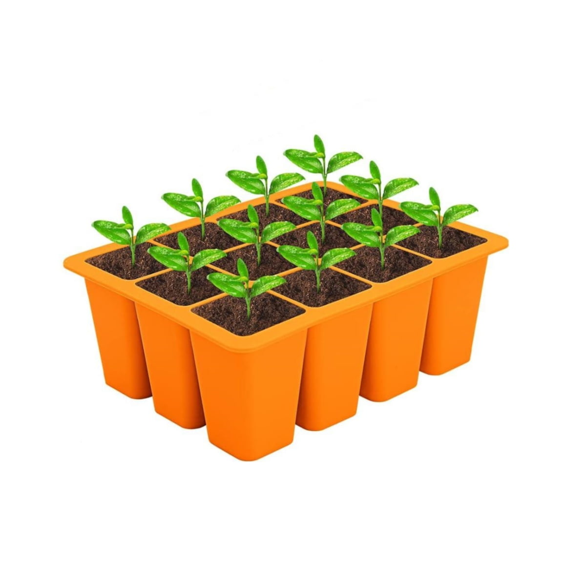 Nursery Box Nursery Block Silicone Pallet Wheat Grass Plants Sowing