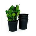 thumbnail image 1 of Nursery Pots 5-Pack - 8 & 7.9” Round Plastic Plant Pots with Drainage - Garden Flower Pots for Indoor & Outdoor Use - Durable UV Resistant Planters, 1 of 5