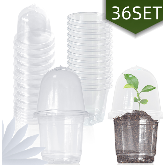 Nursery Pots with Humidity Dome Seed Starter Clear Plastic Gardening