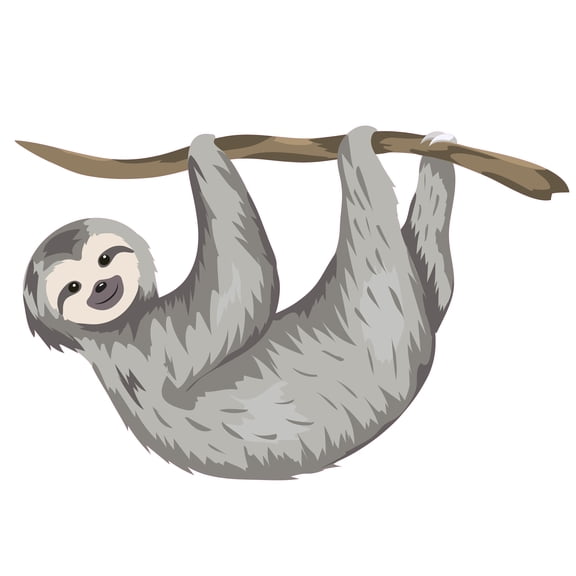 Nursery Room Art Grey Baby Sloths Decoration 20" x 20" Removable Home Bedroom Vinyl Multicolored Wall Decoration Sticker - Adhesive Living Room Kids Bedroom Tree Forest Animal Design Wall Decal