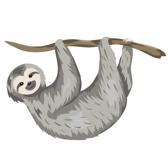 Nursery Room Art Grey Baby Sloths Decoration 20" x 20" Removable Home Bedroom Vinyl Multicolored Wall Decoration Sticker - Adhesive Living Room Kids Bedroom Tree Forest Animal Design Wall Decal