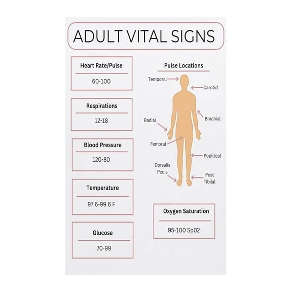 Nursing Educational Poster Adult Vital Signs Normal Ranges Pulse Locations Reference Chart Canvas Art Print for Hospital Clinic Living Room Decor