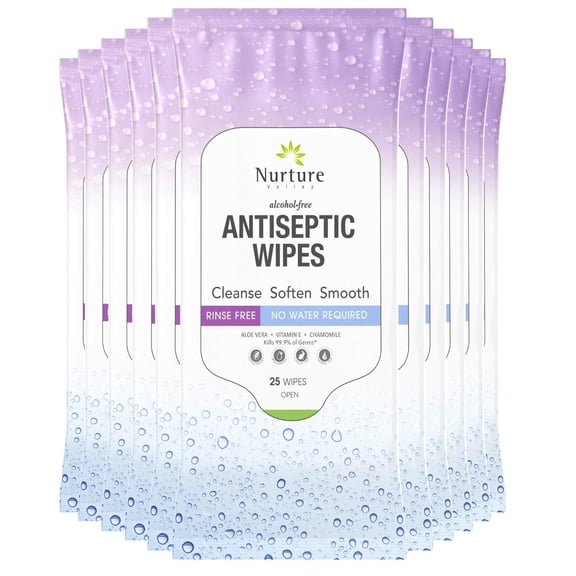 Nurture Antiseptic Body Wipes for Adults, Alcohol-Free with Aloe Vera & Vitamin E, Disposable Wet Towelettes, 25 Count, Pack of 10