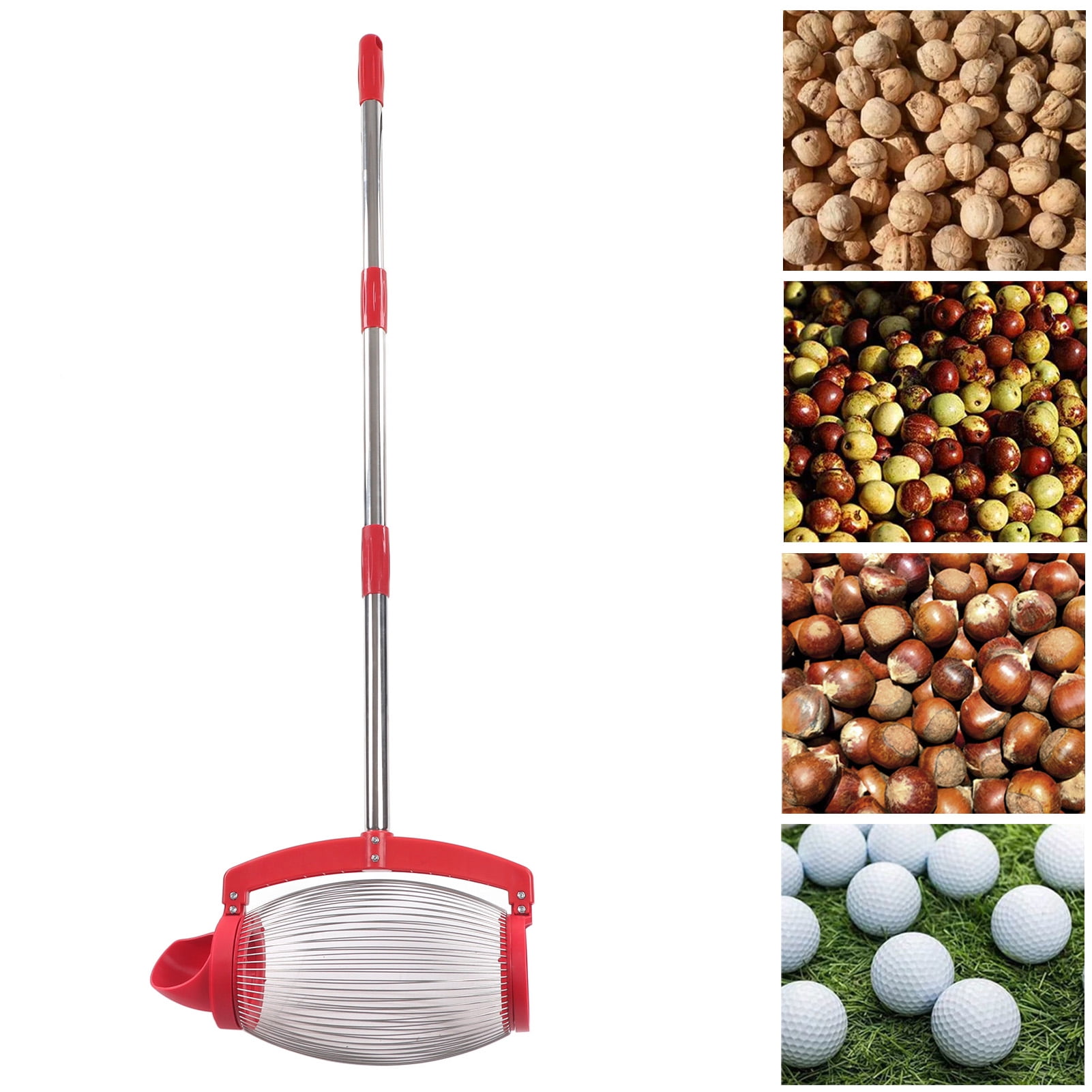 Nut Gatherer, Handle Nut Collector Tool Pecan Gatherer Rolling Nut