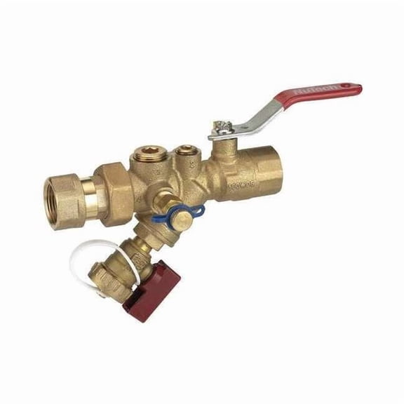 1" FNPT Combination Strainer Valve SV2E-100F-100F