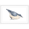 thumbnail image 1 of "Nuthatch Bird" Framed Painting Print, 1 of 6
