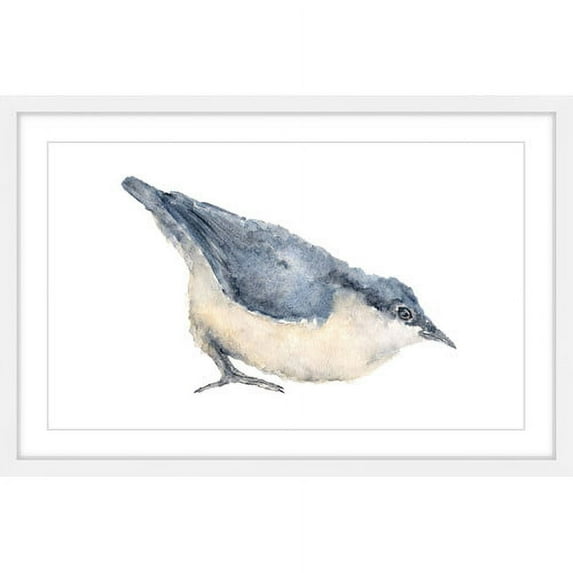 "Nuthatch Bird" Framed Painting Print