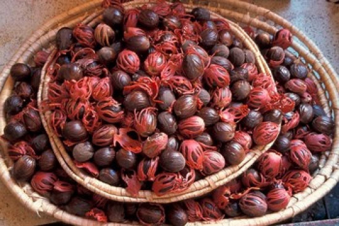 Nutmeg in Public Market Castries Caribbean Canvas Art - Greg Johnston DanitaDelimont (27 x 18)