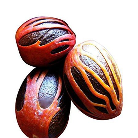 Nutmeg with Mace