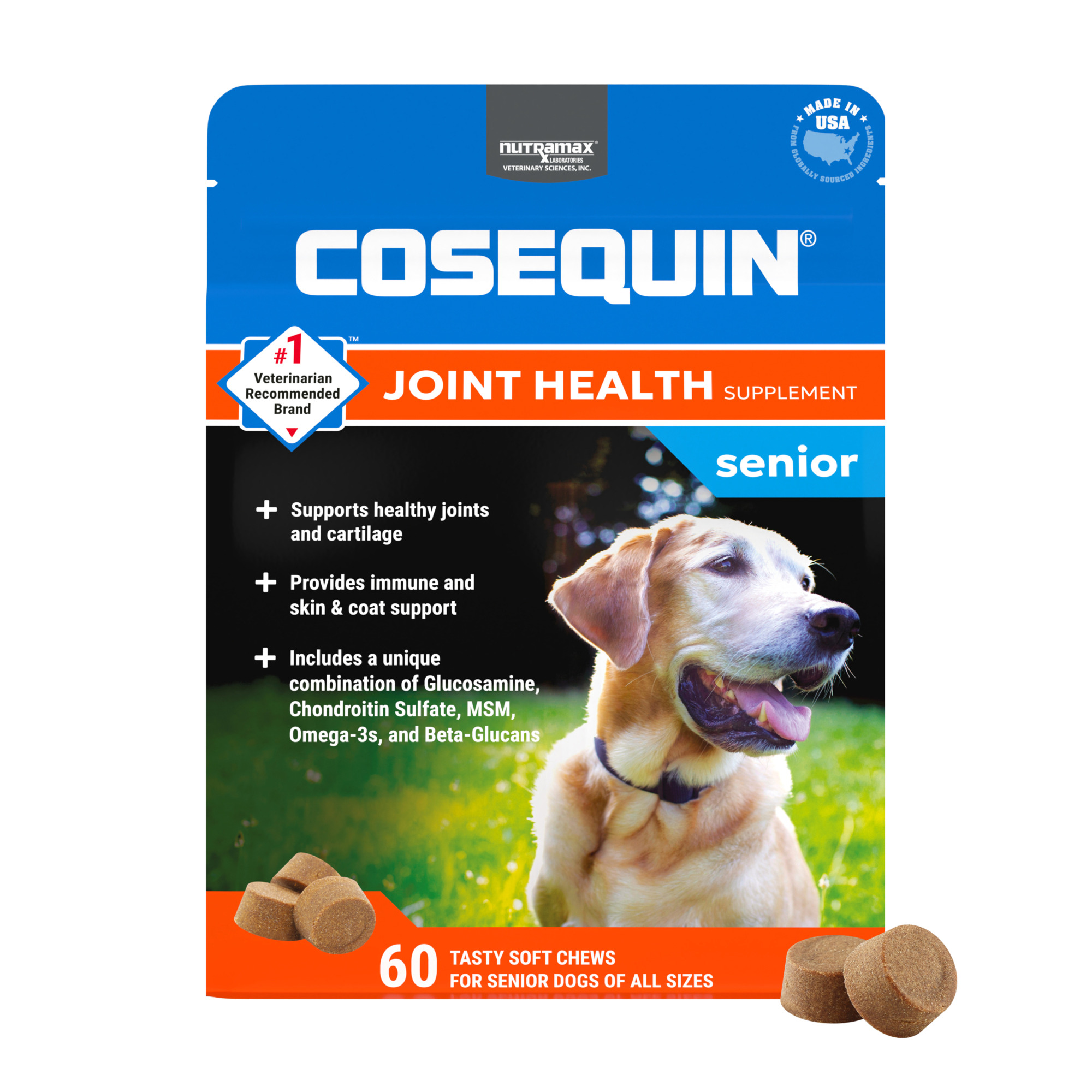 Dog Joint Health: Boost Mobility with Expert Tips
