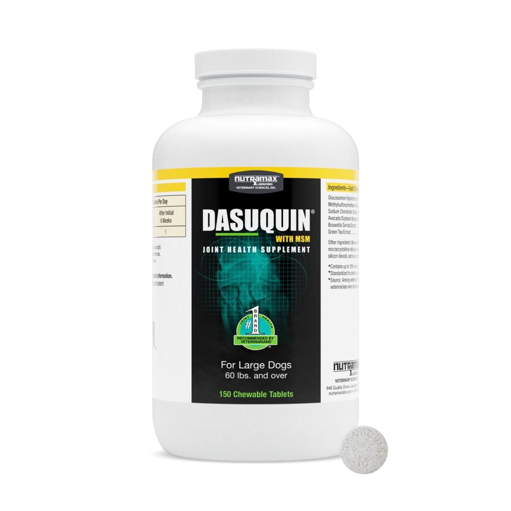 Dasuquin MSM Joint Care Chewable Tablets for Large Dogs, Pet Health ...