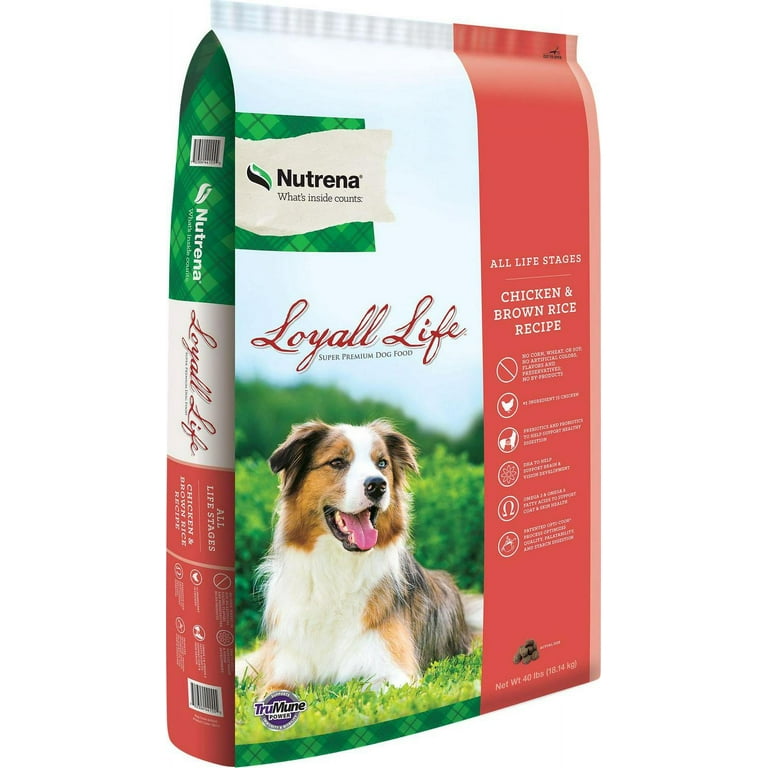 Nutrena Loyall Life Loyall Life All Life Stages Chicken and Brown Rice Recipe Dry Dog Food Walmart