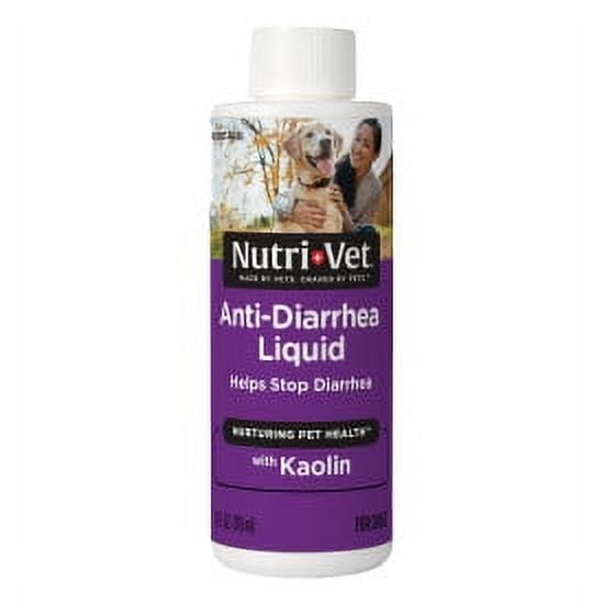 Nutri Vet Anti Diarrhea Digestive Remedy for Dogs Mint Flavor 4 oz. Walmart