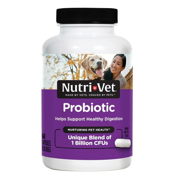 Nutri-Vet Probiotics Capsules for Dogs - Supports Digestive Health - For All Size Dogs - Promotes Healthy Immune System - Vet Formulated - 60 Count Capsules