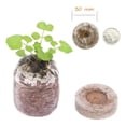 thumbnail image 1 of Nutrient-Rich Seed Starter Pods Compressed Peat Pellets with Non-Woven Fabric for Stronger Roots Fast Germination Seedling Soil Blocks for Vegetable Gardening-5PCS, 1 of 6