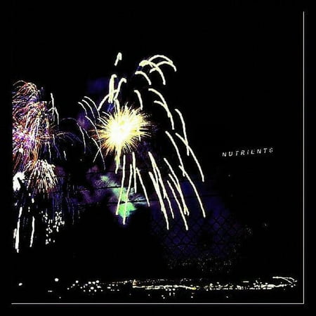 Different Bridges [LP] - VINYL