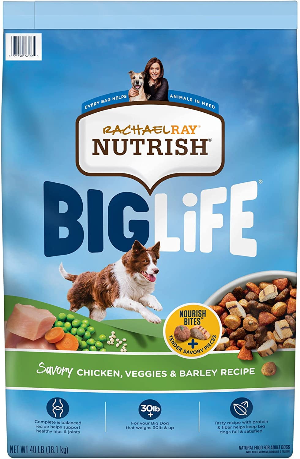 Nutrish Big Life Dry Dog Food Medium Large Breed Savory Chicken Barley Veggies 40 Pounds Walmart