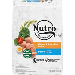 Nutro Natural Choice Chicken Brown Rice Dry Dog for Small Breed Senior Dog 5 lb. Bag Walmart