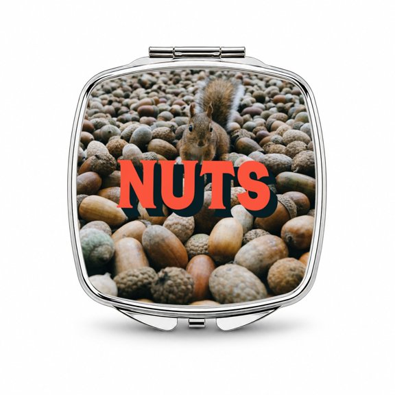 Nuts Funny Squirrel Photo Travel Makeup Handbag Purse Small Pocket Compact Mirror