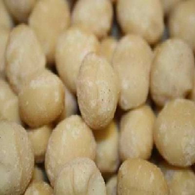 Bulk Nuts Organic Macadamia Nuts, Raw, 5 lb.