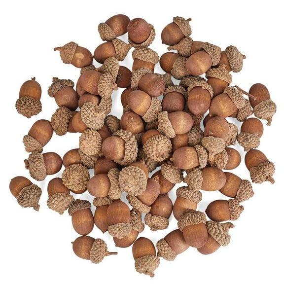 Factory Direct Craft Artificial Acorns, Natural Acorn Caps, Thanksgiving Theme, Brown, 7.4 oz, 75 Count