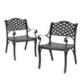 thumbnail image 1 of Nuu Garden 2 Piece Bistro and Dining Chairs Set, Aluminum Outdoor Indoor Patio Chairs with Arms for Garden, Backyard, Porch, Black with Gold Speckles, 1 of 10