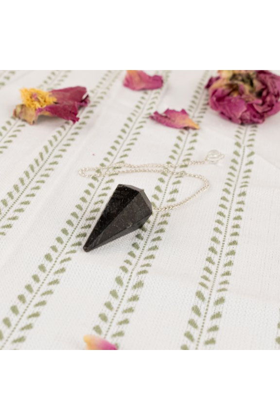 Nuummite Faceted Pendulum
