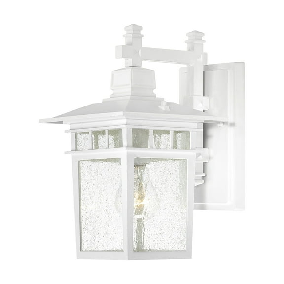 Nuvo 60-4951 - Cove Neck - 1 Light - 12" Outdoor Hang W/ Clear Seed Glass