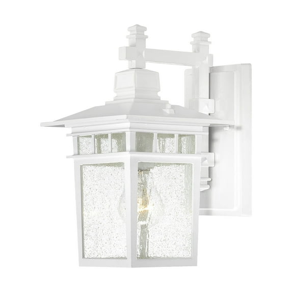 Nuvo 60-4951 - Cove Neck - 1 Light - 12" Outdoor Hang W/ Clear Seed Glass