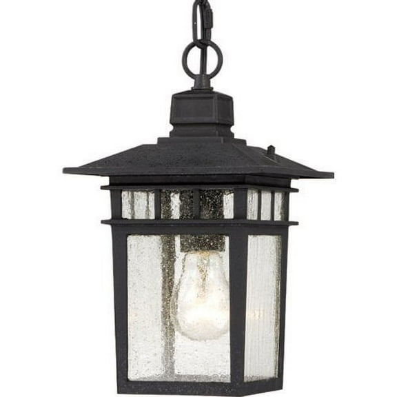 Nuvo 60-4956 - Cove Neck - 1 Light - 12" Outdoor Hang W/ Clear Seed Glass