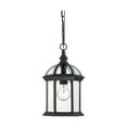 thumbnail image 1 of Nuvo 60-4979 - Boxwood - 1 Light - 14" Outdoor Hanging W/ Clear Beveled Glass, 1 of 5