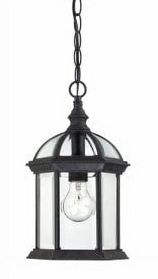 Boxwood Black 14" Outdoor Hanging Lantern with Clear Glass