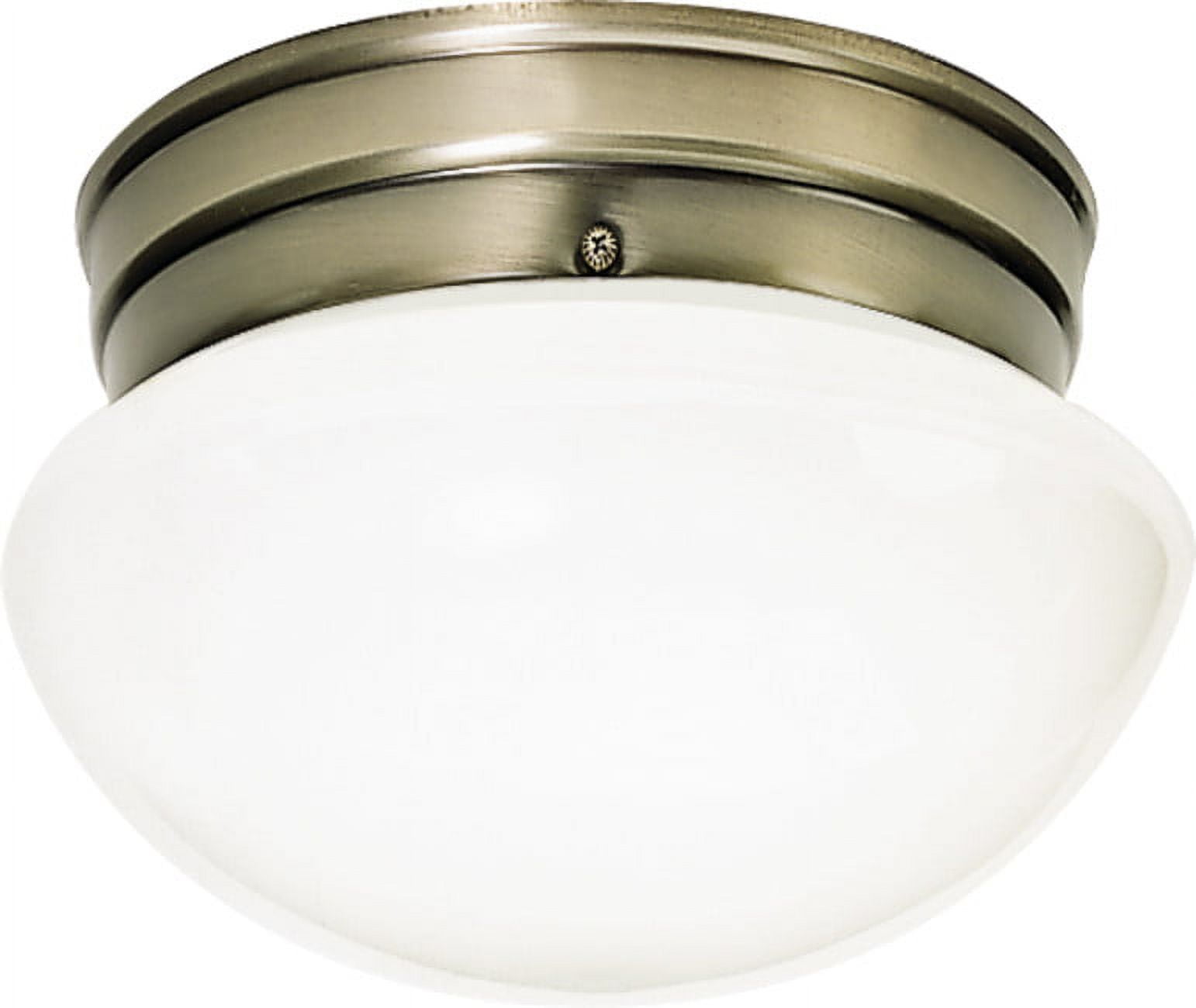 Antique Brass Glass Indoor/Outdoor Flush Mount Ceiling Light