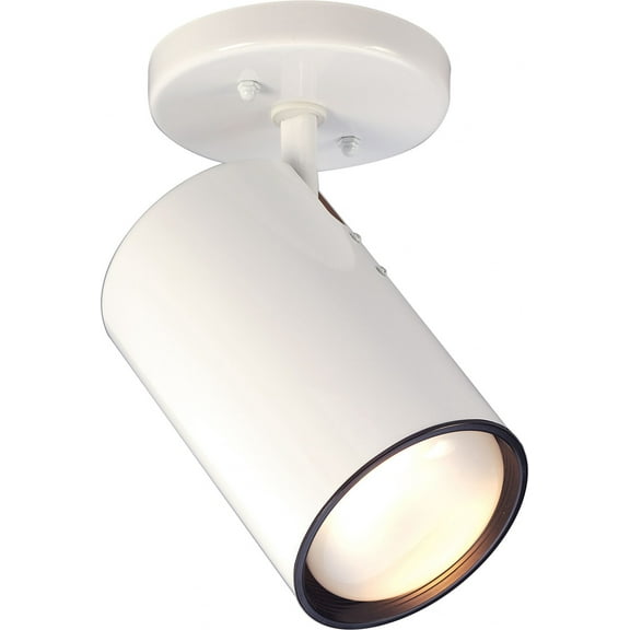 Nuvo 76-418 - 1 LT R30 WHT STRAIGHT CYLINDER