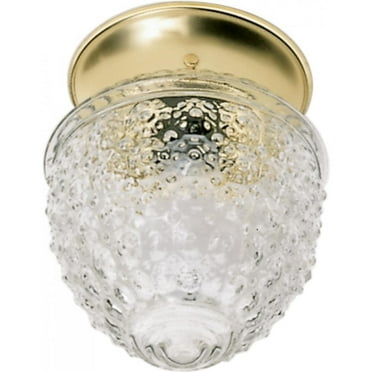 Nuvo Lighting 1-Light 6 In. Ceiling Fixture
