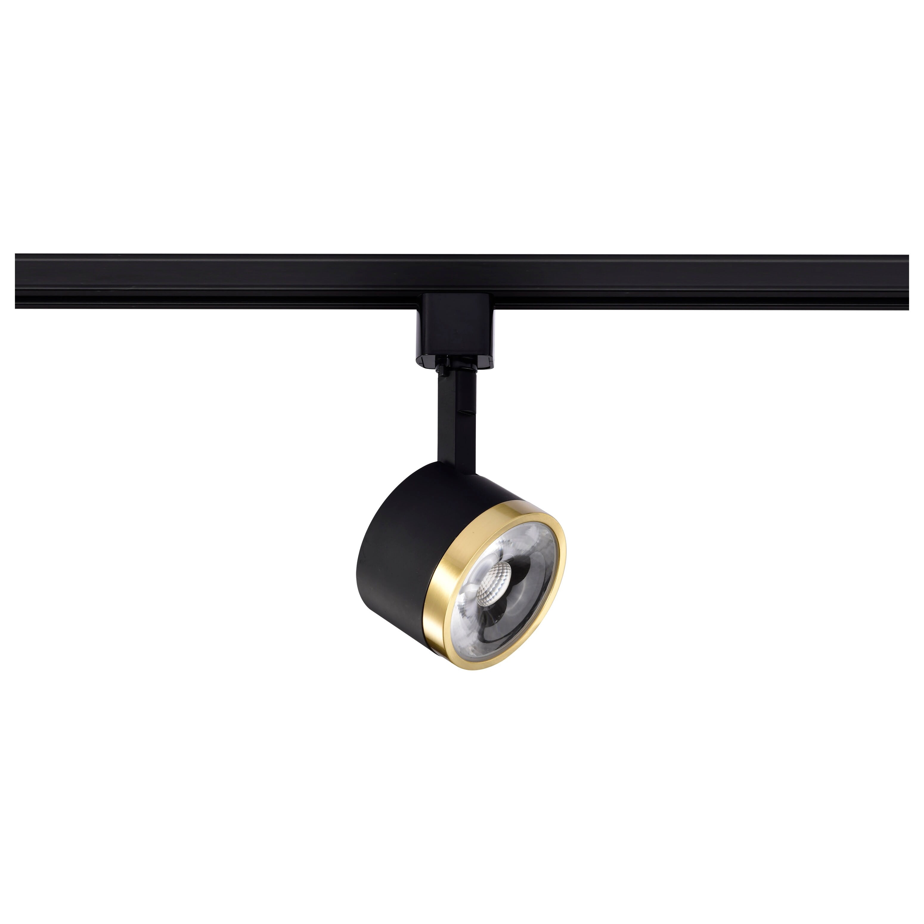 Nuvo Lighting 12 Watt LED Track Head Round 3000K Matte Black and Brushed Brass Finish