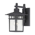 thumbnail image 1 of Nuvo Lighting 60/4953 Cove Neck 1 Light 11-3/4" Tall Outdoor Wall Sconce Wi - Black, 1 of 4