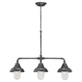 thumbnail image 1 of Nuvo Lighting  60/5537  Pendants  Sutton  Indoor Lighting  ;Industrial Iron, 1 of 2