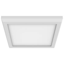 Blink Pro - Light White Utilitarian Aluminum Flush Mount Light