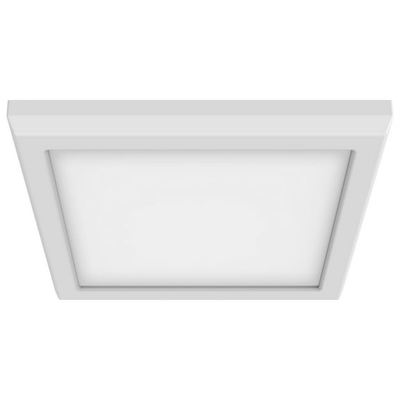 Blink Pro - Light White Utilitarian Aluminum Flush Mount Light