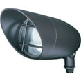 thumbnail image 1 of Nuvo Lighting 76/647 Single Light 12" PAR30 Landscape Flood Light, 1 of 3