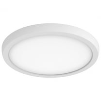Blink Pro - Light White LED Aluminum Flush Mount Light